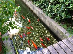 外面-老洋房花园饭店(绍兴路店)