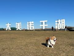 -诺干湖景区