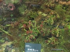 -国家植物园南园