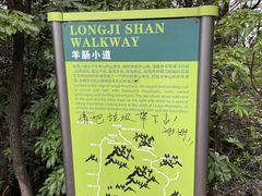 -南山植物园