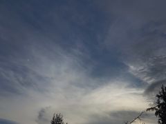 -西涌国际滨海旅游区