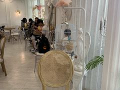 -共舞时光猫咖·狗咖(新街口店)