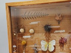 -一尺花园(安和花园店)