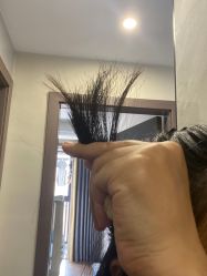 -SalonRivelin 沙龙瑞菱