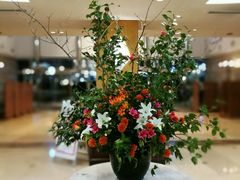 -别府杉乃井酒店