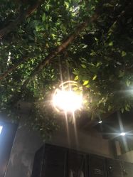 -V-STAR威斯达•高级私人定制