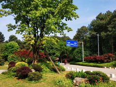 -铁山坪森林公园