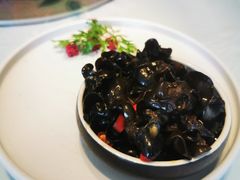 -同庆楼(金宝汇店)