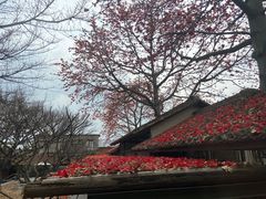 -喜洲吧·江畔老船厂·庭院餐厅(喜临院店)