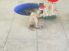 -秦皇岛野生动物园
