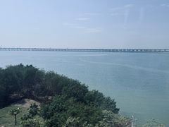 -宝安西湾红树林湿地公园