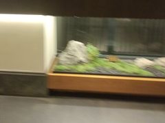 -大妙火锅·非物质文化遗产(东湖公园店)