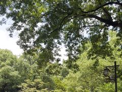 -杭州植物园