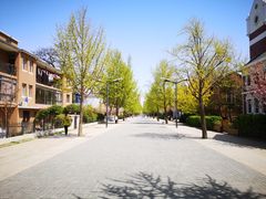 -天正河鲀·河豚亭(大连店)