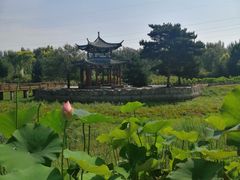 -知音酒楼(花园店)