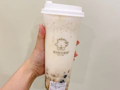 双蛋小皇椰（白屁屁）-茶力的小怪兽(梅林卓悦汇店)