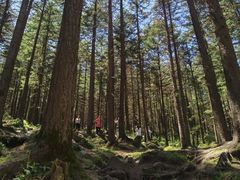 -芦芽山旅游度假区