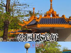 -金砂公园