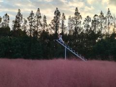 -嘉北郊野公园