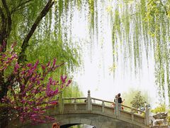 -西安青龙寺遗址景区
