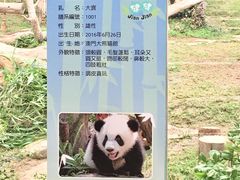 -石排湾郊野公园
