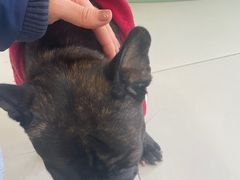 -怪兽屋·羊驼·猫咖·狗咖(俊华广场店)