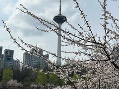 -辽宁电视塔