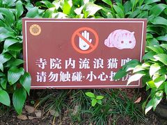 -西园寺