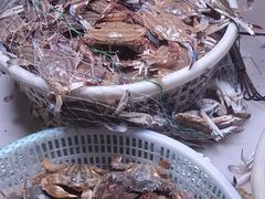 -桃源市场(解放路店)