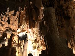 -波斯托伊纳溶洞