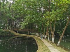 -桤木河湿地公园