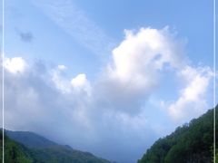 -牛背梁国家森林公园