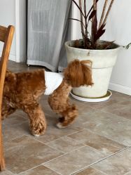 -WAVE SODA摄影工作室