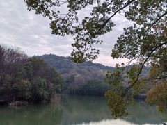 -白马涧龙池景区