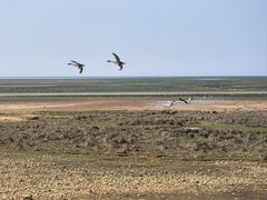 -鄱阳湖国家湿地公园