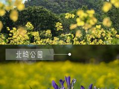 -北坞公园