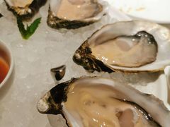 -Oyster Talks 四度蚝法餐厅