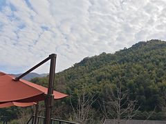 -宁海安岚·南溪阁全日餐厅