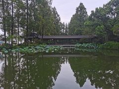 -浙江西子宾馆·牡丹厅