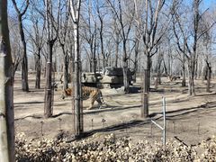 -秦皇岛野生动物园