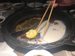 招牌有机黑鱼-七秒鱼·斑鱼火锅(太阳城店)