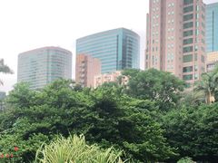 -九龙公园