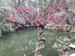 -成都杜甫草堂博物馆