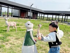 -杭州湾海上花田景区