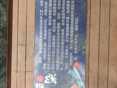 -真庆观