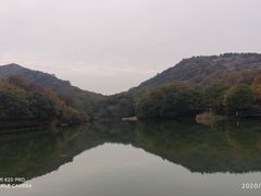 -白马涧龙池景区