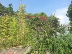 -乌江画廊(彭水苗族土家族自治县)