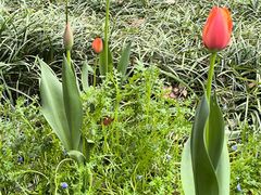 -浙江大学(玉泉校区)