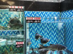 -农汤老店(顺联公园里店)