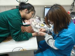 -佑安动物医院·全科·内窥镜中心(幸福巷店)